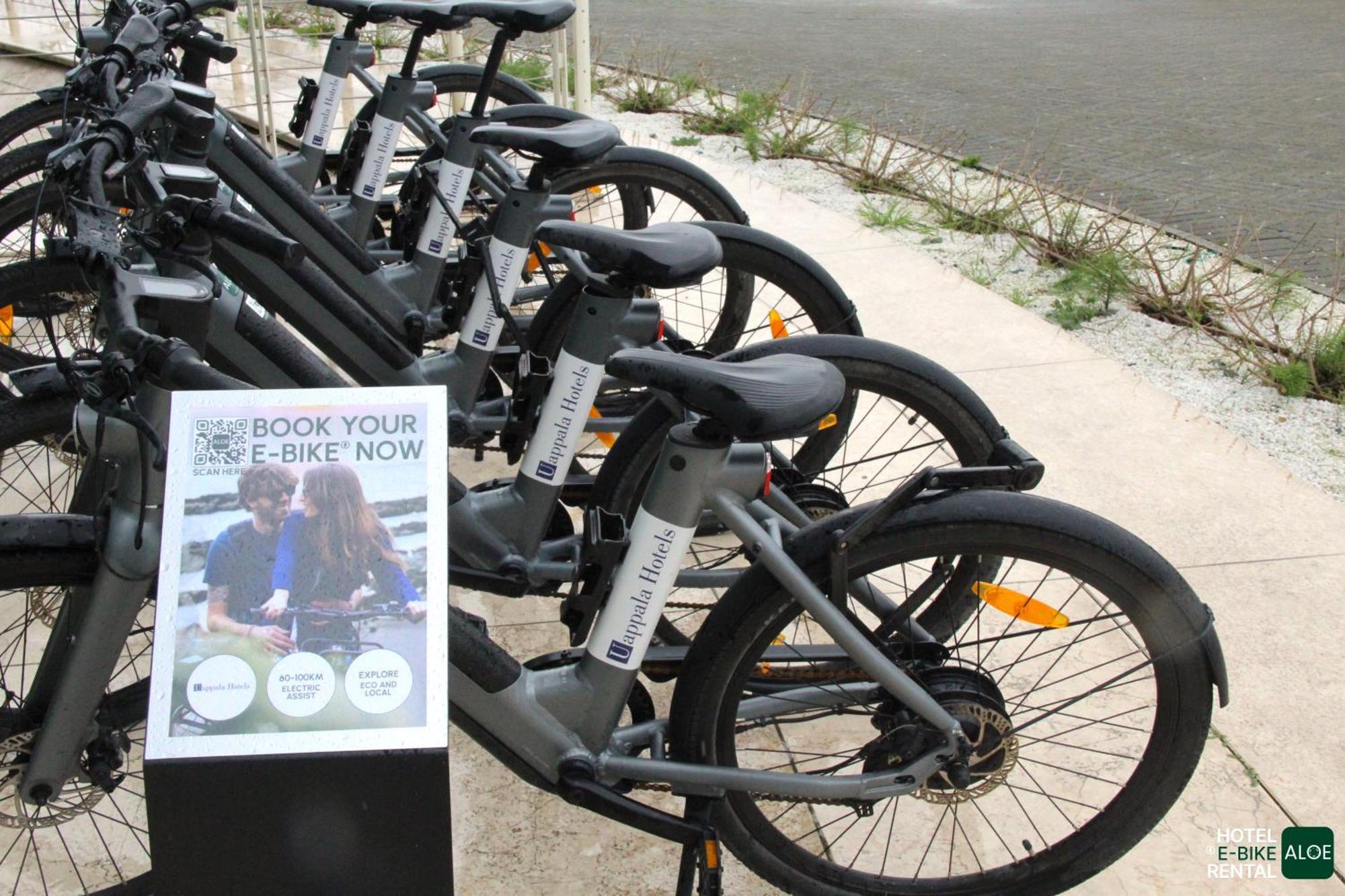 Hotel Pisa Tower Plaza Exterior foto Free bikes for students